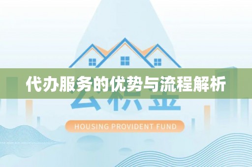 仁和代办服务的优势与流程解析