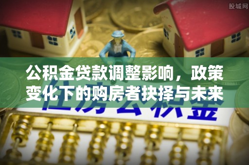 仁和公积金贷款调整影响，政策变化下的购房者抉择与未来趋势