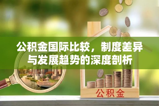 仁和公积金国际比较，制度差异与发展趋势的深度剖析