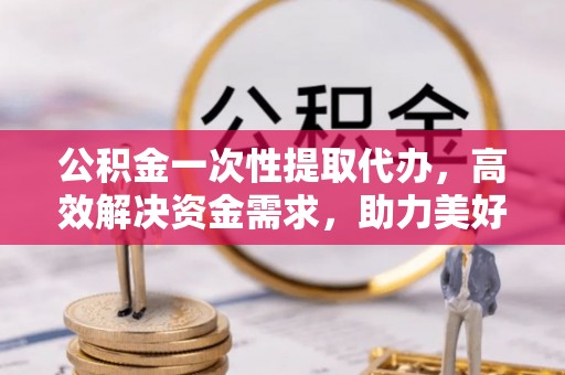 仁和公积金一次性提取代办，高效解决资金需求，助力美好生活规划