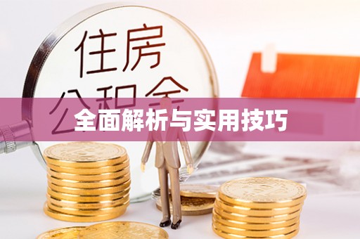 仁和全面解析与实用技巧
