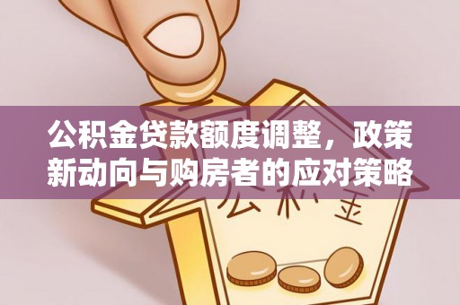 仁和公积金贷款额度调整，政策新动向与购房者的应对策略
