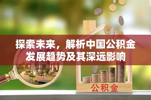 仁和探索未来，解析中国公积金发展趋势及其深远影响