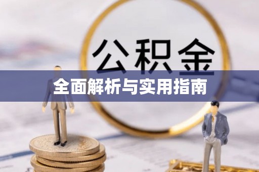 仁和全面解析与实用指南