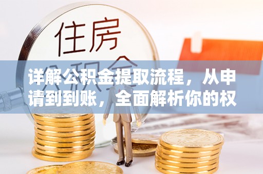 仁和详解公积金提取流程，从申请到到账，全面解析你的权益与操作步骤