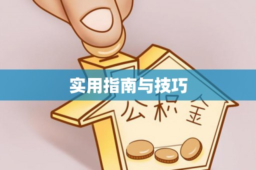 仁和实用指南与技巧