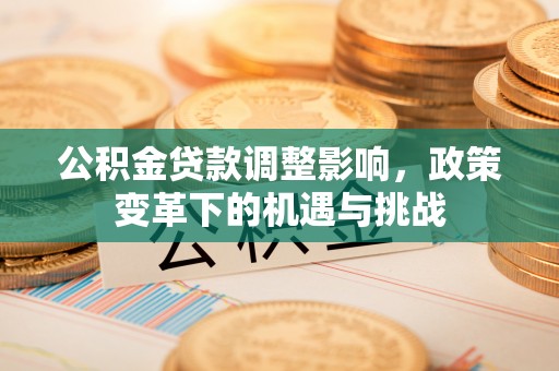 仁和公积金贷款调整影响，政策变革下的机遇与挑战