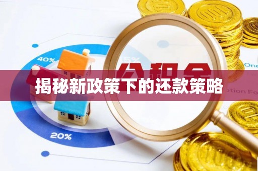 仁和揭秘新政策下的还款策略