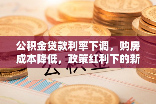 仁和公积金贷款利率下调，购房成本降低，政策红利下的新机遇