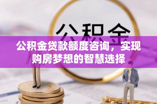 仁和公积金贷款额度咨询，实现购房梦想的智慧选择