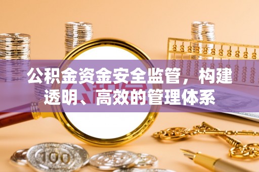 仁和公积金资金安全监管，构建透明、高效的管理体系