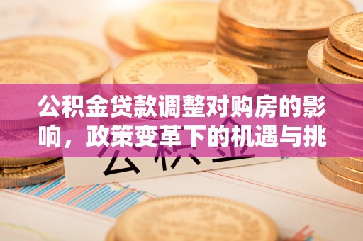 仁和公积金贷款调整对购房的影响，政策变革下的机遇与挑战