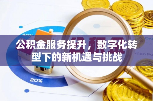 仁和公积金服务提升，数字化转型下的新机遇与挑战