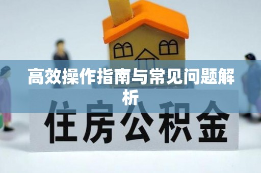 仁和高效操作指南与常见问题解析