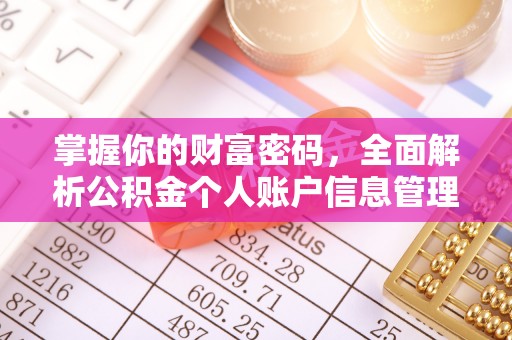 仁和掌握你的财富密码，全面解析公积金个人账户信息管理与优化