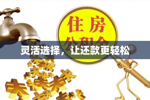 仁和灵活选择，让还款更轻松