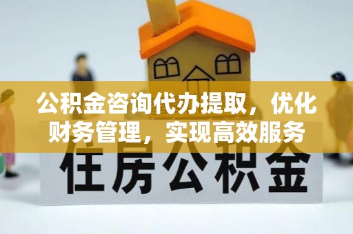 仁和公积金咨询代办提取，优化财务管理，实现高效服务