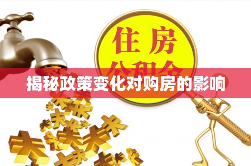 仁和揭秘政策变化对购房的影响
