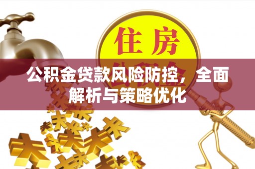 仁和公积金贷款风险防控，全面解析与策略优化