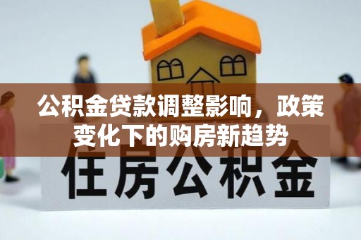 仁和公积金贷款调整影响，政策变化下的购房新趋势