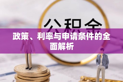 仁和政策、利率与申请条件的全面解析