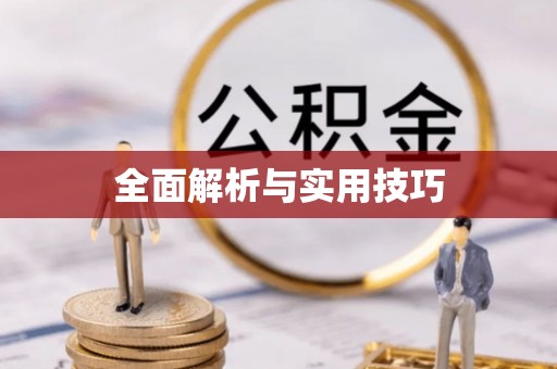 仁和全面解析与实用技巧