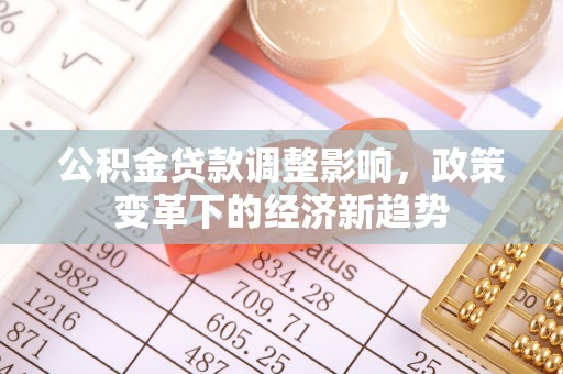 仁和公积金贷款调整影响，政策变革下的经济新趋势