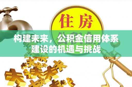 仁和构建未来，公积金信用体系建设的机遇与挑战