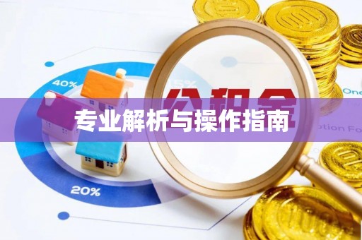仁和专业解析与操作指南