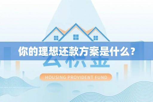 仁和你的理想还款方案是什么？
