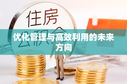 仁和优化管理与高效利用的未来方向