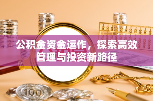仁和公积金资金运作，探索高效管理与投资新路径