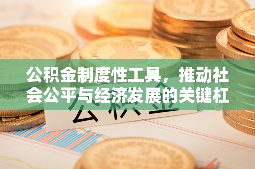 仁和公积金制度性工具，推动社会公平与经济发展的关键杠杆