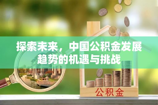 仁和探索未来，中国公积金发展趋势的机遇与挑战
