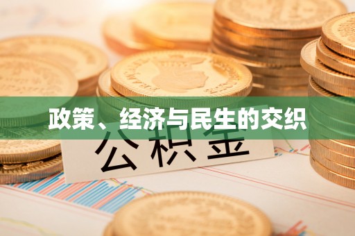 仁和政策、经济与民生的交织
