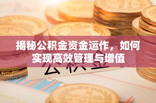 仁和揭秘公积金资金运作，如何实现高效管理与增值