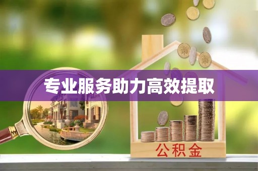 仁和专业服务助力高效提取