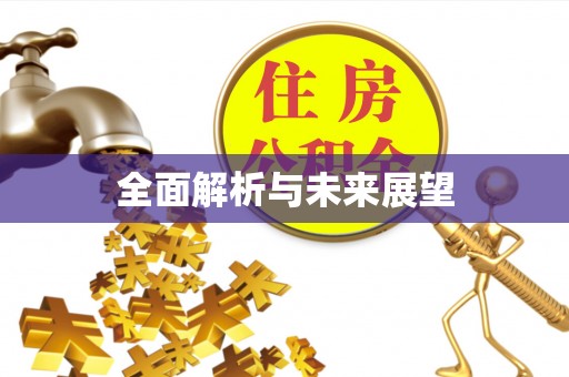 仁和全面解析与未来展望