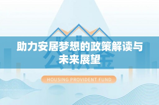 仁和助力安居梦想的政策解读与未来展望