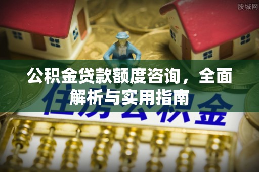 仁和公积金贷款额度咨询，全面解析与实用指南