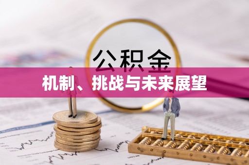 仁和机制、挑战与未来展望