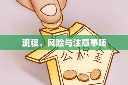 仁和流程、风险与注意事项