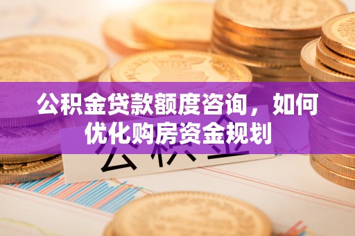 仁和公积金贷款额度咨询，如何优化购房资金规划