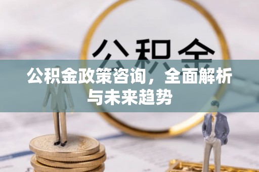仁和公积金政策咨询，全面解析与未来趋势